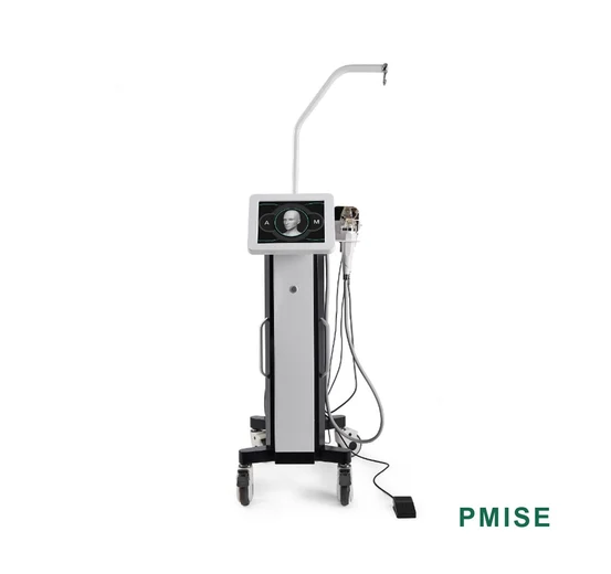 Pmise MN-01 Gold RF Microneedle Platform